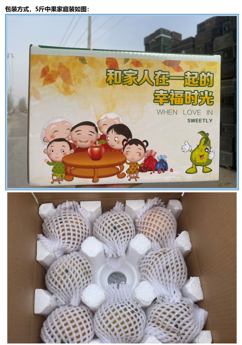 梨秋月梨新疆冰糖秋月梨汁水充盈爽脆一件代发欢迎咨询