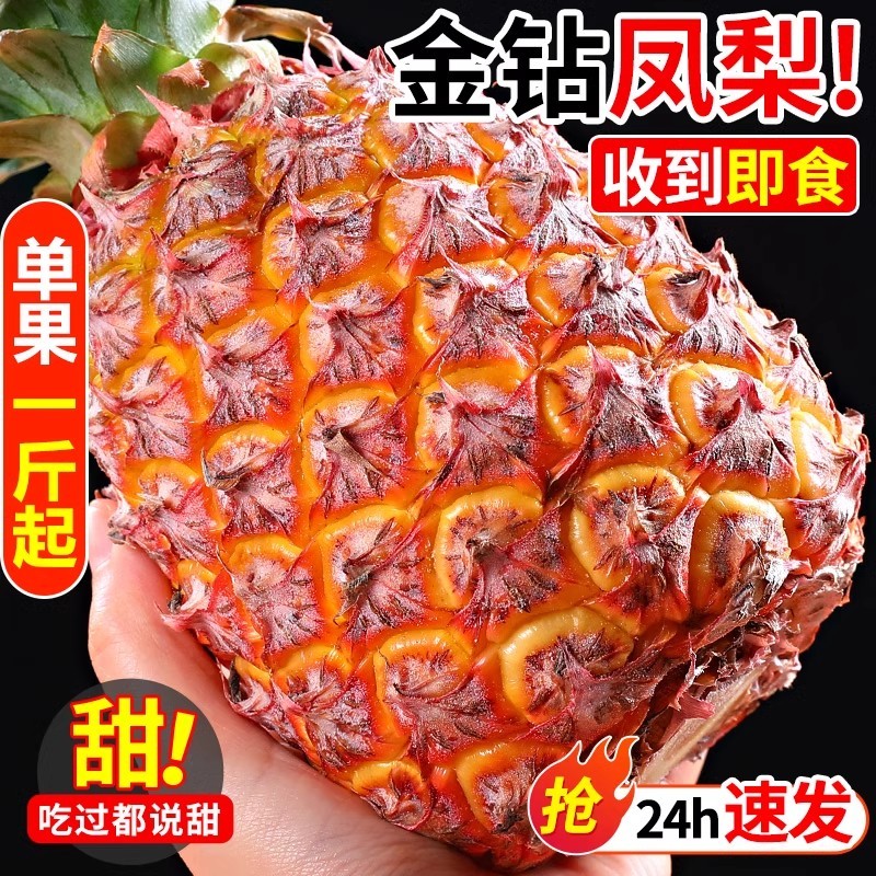 海南金钻凤梨货源充足规格齐全支持一件代发