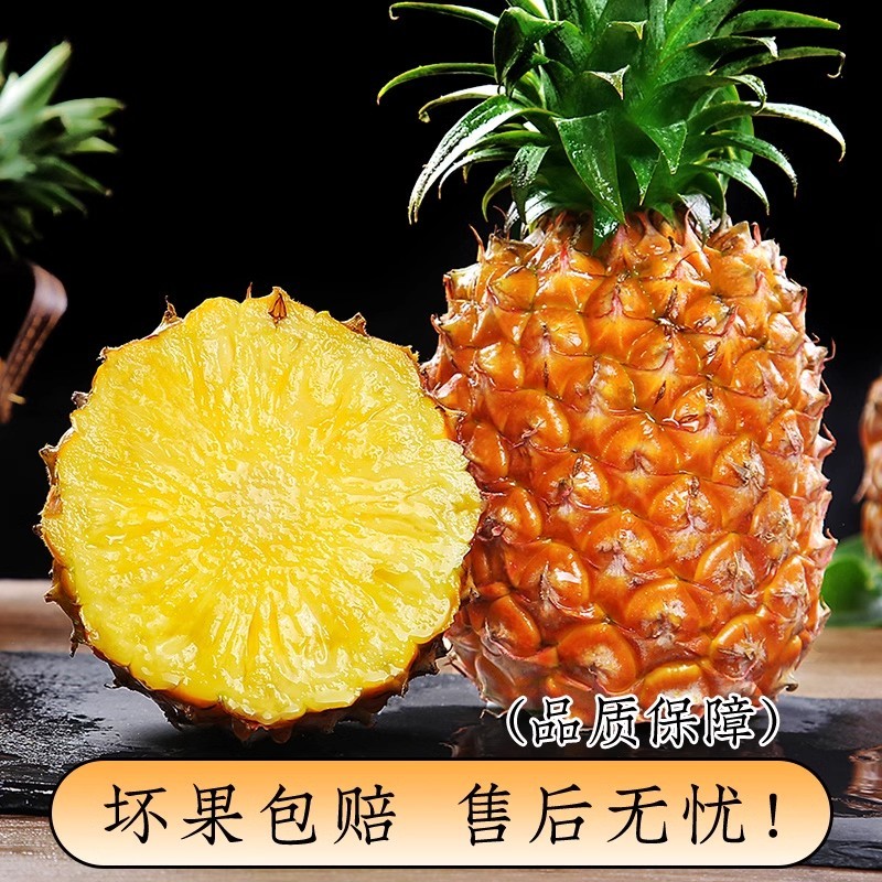 海南金钻凤梨货源充足规格齐全支持一件代发