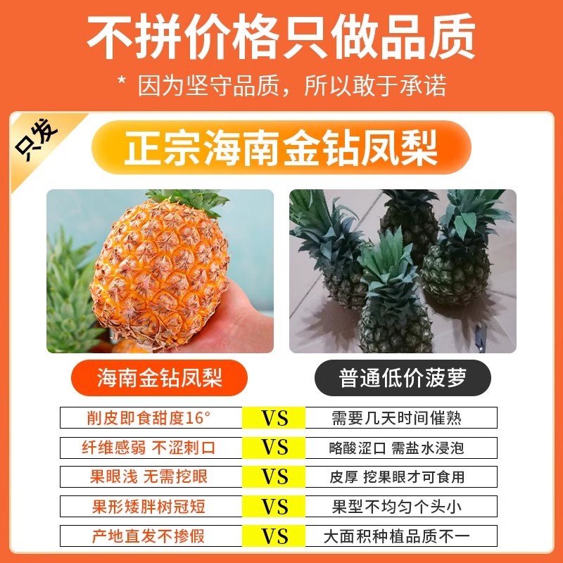 海南金钻凤梨大量货源一件代发全国