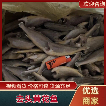去头黄花鱼小黄鱼大黄鱼每箱净重12斤优质货源电联优惠
