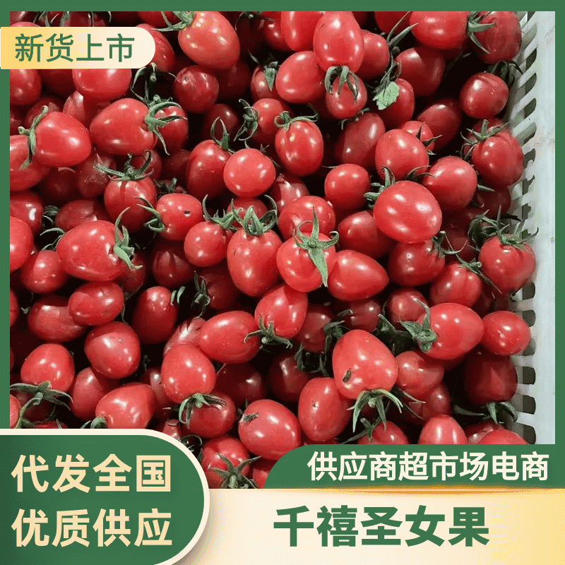 （实力优选）寿光圣女果/山东圣女果/千禧圣女果/价美