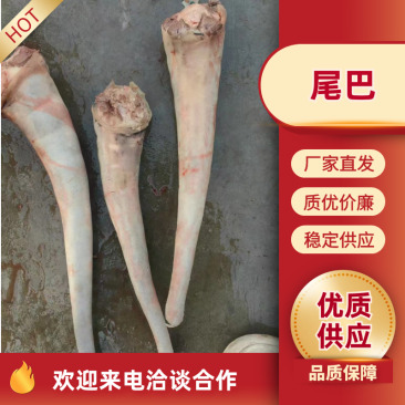 新鲜驴尾巴现货自家屠宰场大量供应纯水退干净无毛