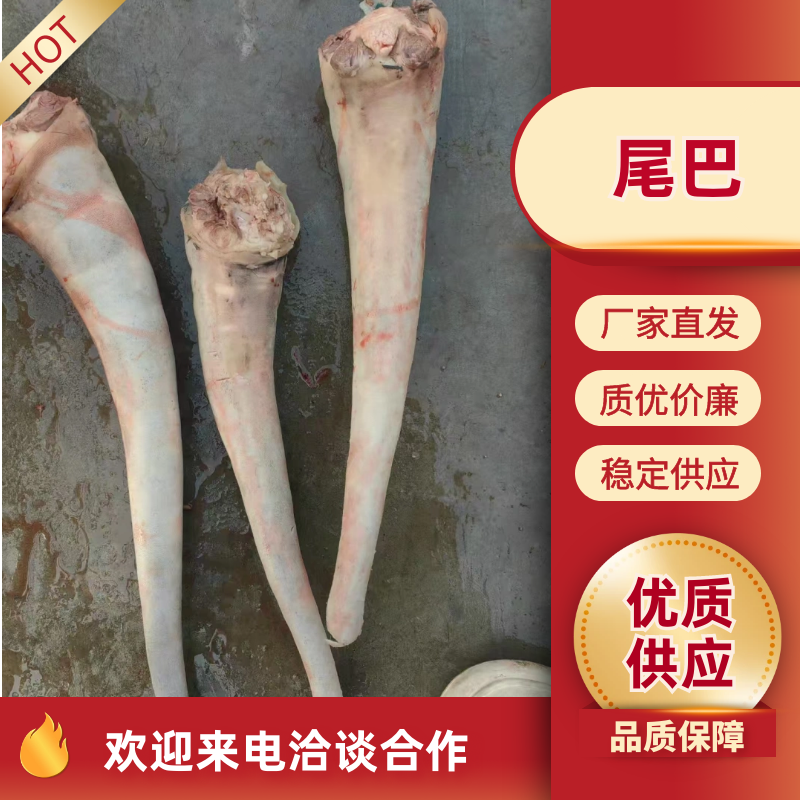 新鲜驴尾巴现货自家屠宰场大量供应纯水退干净无毛