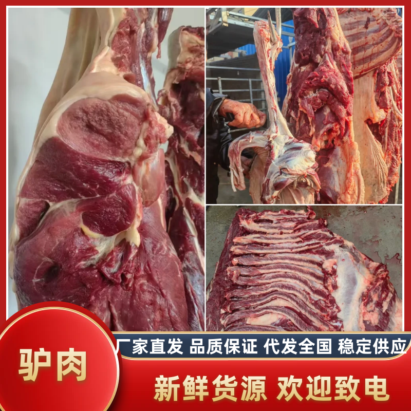 河北新鲜驴肉，肉无注水大量供应现货现发价格美丽一手货源