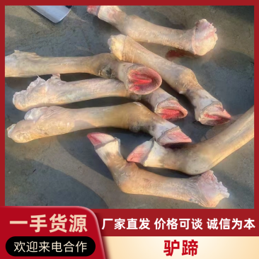河北优质纯水退驴蹄，大量供应品质保障，可视频看货