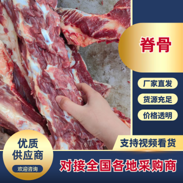 河北驴脊骨新鲜满肉多肉新鲜驴脊骨大量供应