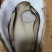 【回购率高】鲜货包活精品生蚝乳山生蚝一手货源品质保障