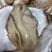 【回购率高】鲜货包活精品生蚝乳山生蚝一手货源品质保障
