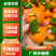 广西砂糖橘，果园直采，一手货源，保质保量，货源充足