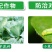 4.5%高效氯氰菊酯正品百农思达豆荚螟花科蔬菜小菜蛾杀虫