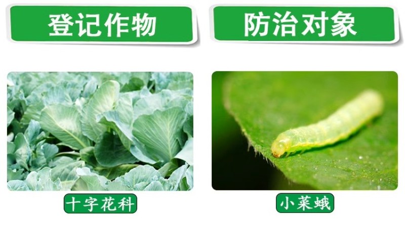 4.5%高效氯氰菊酯正品百农思达豆荚螟花科蔬菜小菜蛾杀虫