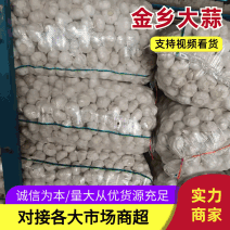 金乡县红皮大蒜，全国发货。一吨起批，直供电商保证质量