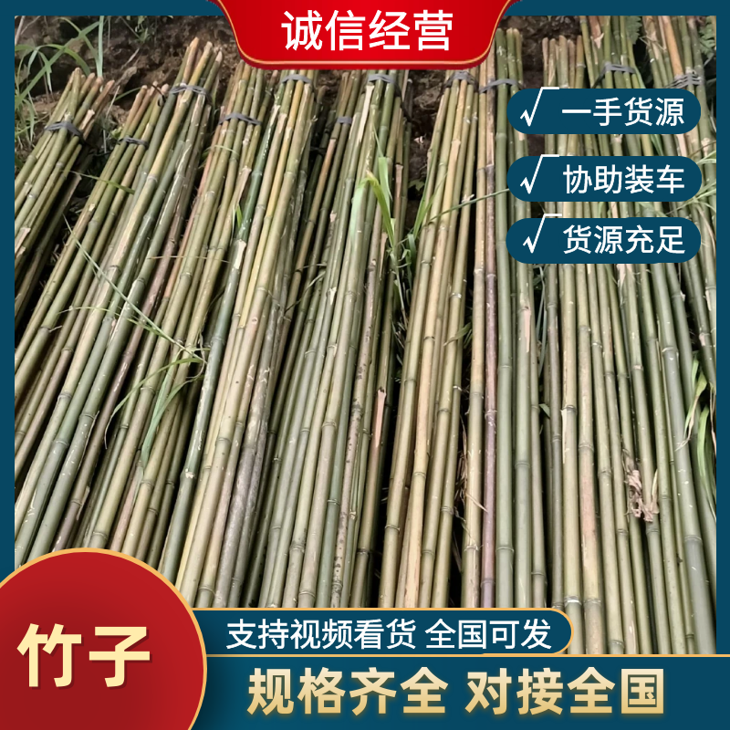 冬瓜竹，菜架竹，各种规格可订做，产地一手货源，欢迎选购！