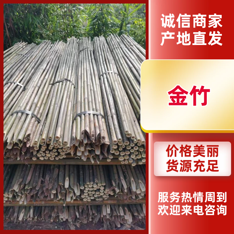 竹子竹竿干竹竿各种规格品质保证可视频欢迎