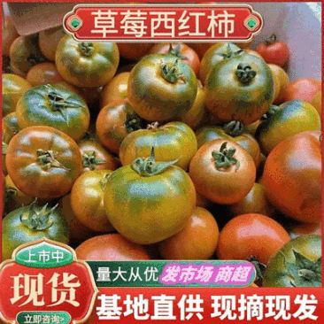 《草莓柿子》草莓西红柿铁皮西红柿基地直供全国代发
