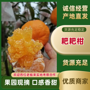 精品耙耙柑一手货源量大从优品质保证口感好汁水多
