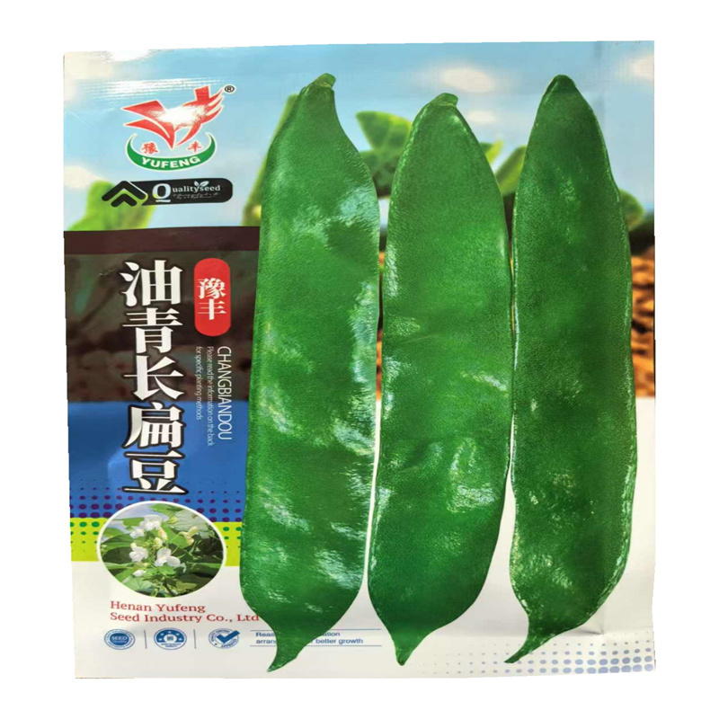 油青长扁豆种子高产眉豆种子嫩荚翠绿色刀豆种子
