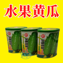 津艺宝唐甜脆水果黄瓜种子早熟高产抗病基地春秋播种精选水果