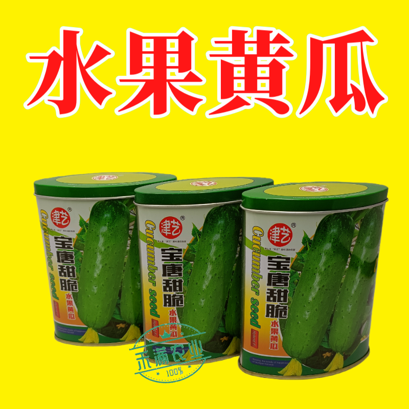 津艺宝唐甜脆水果黄瓜种子早熟高产抗病基地春秋播种精选水果