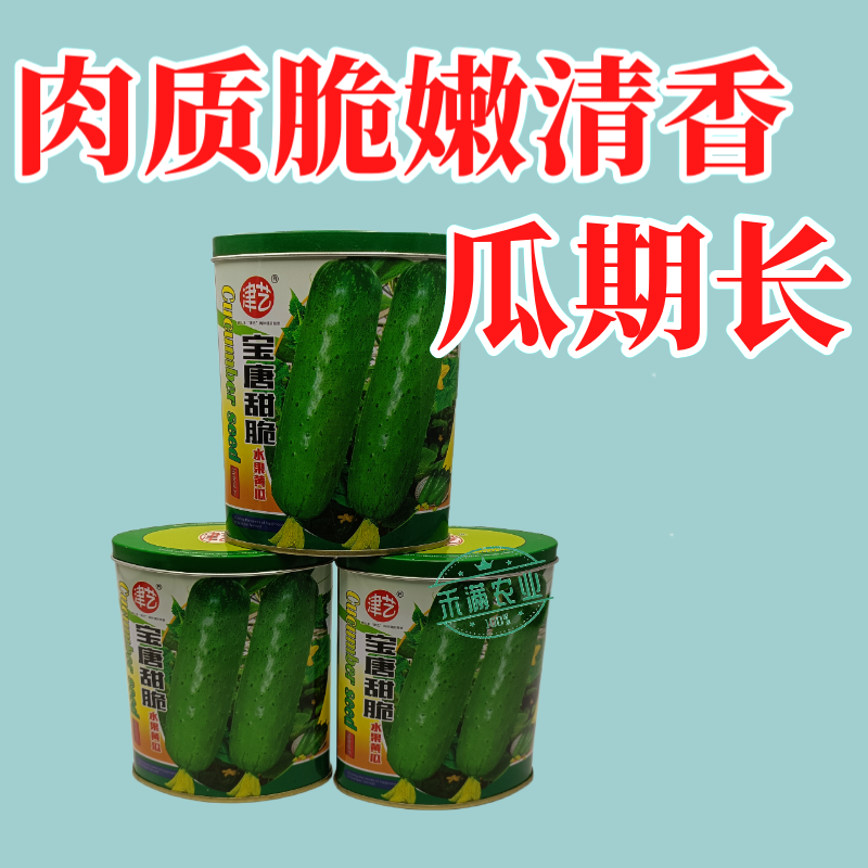 津艺宝唐甜脆水果黄瓜种子早熟高产抗病基地春秋播种精选水果