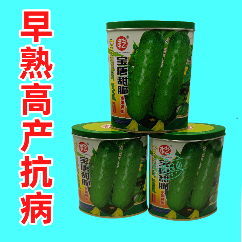 津艺宝唐甜脆水果黄瓜种子早熟高产抗病基地春秋播种精选水果