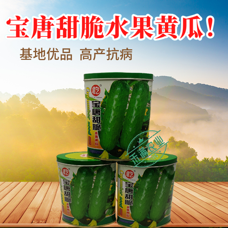津艺宝唐甜脆水果黄瓜种子早熟高产抗病基地春秋播种精选水果