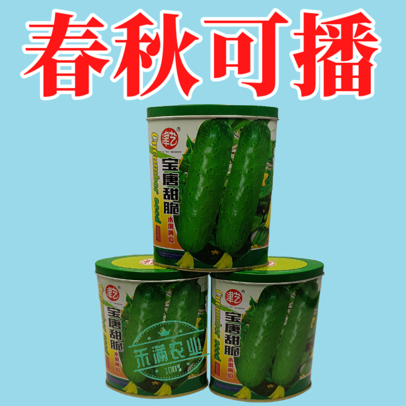 津艺宝唐甜脆水果黄瓜种子早熟高产抗病基地春秋播种精选水果