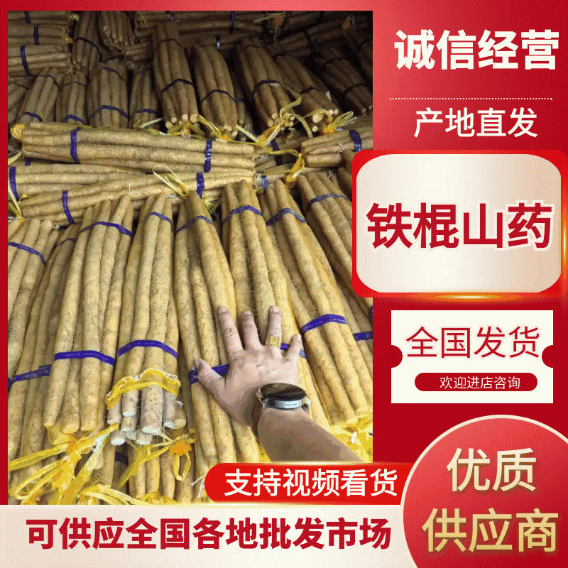 小白嘴山药，精品网袋，产地直供。大量现货，一手货源