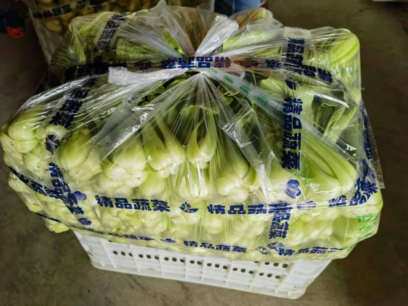 新鲜上海青，产地直发专业代办合作共赢