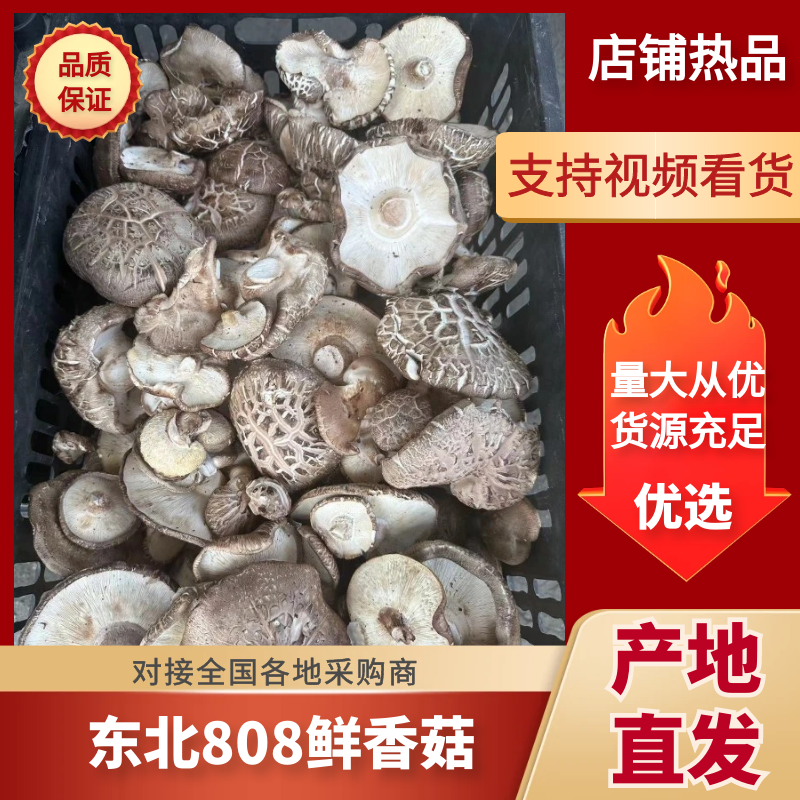 辽宁香菇品质保证诚信经营欢迎联系接商超市场电商