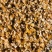 养殖碎玉米价格美丽保质保量供货视频看货