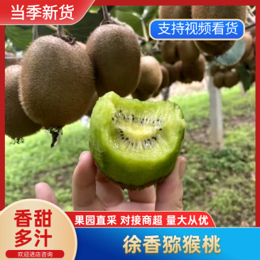 陕西猕猴桃精品徐香猕猴桃产地直供量大从优随行就市