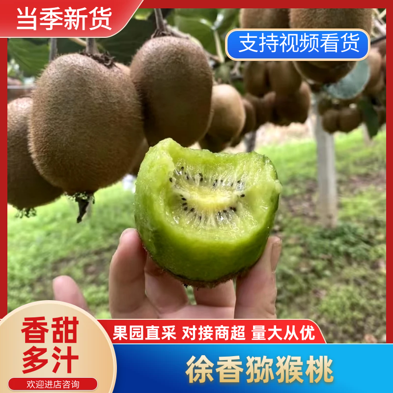 陕西猕猴桃精品徐香猕猴桃产地直供量大从优随行就市