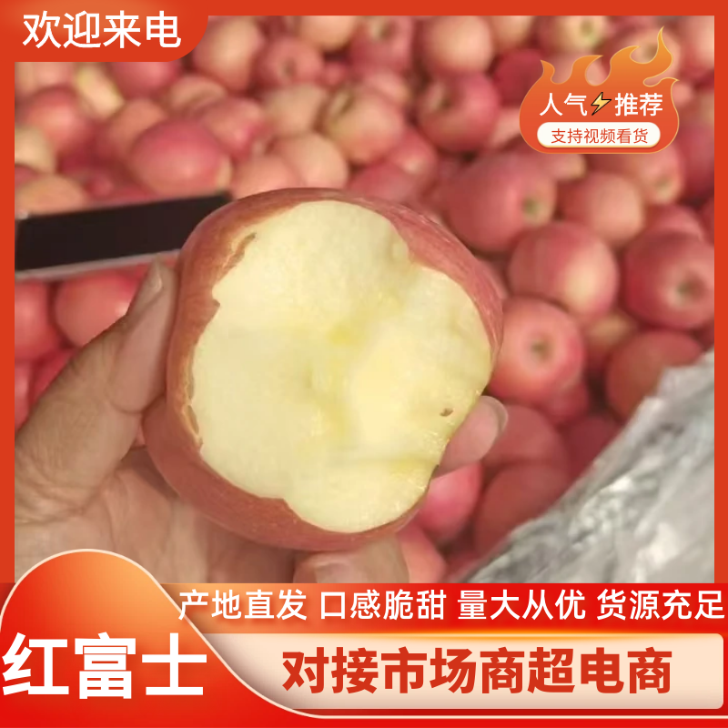 陕西红富士苹果陕西苹果现货供应全国供应需要联系