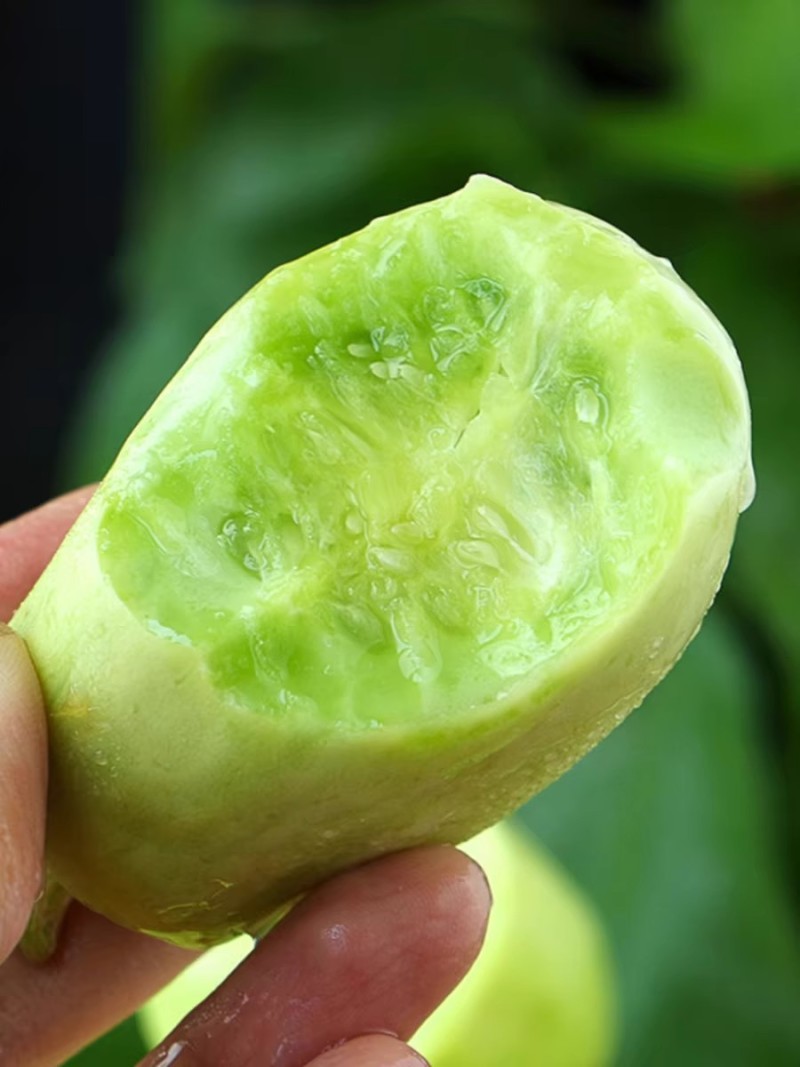 玉贝贝玉女黄瓜种子节节有瓜节间短甜脆细腻
