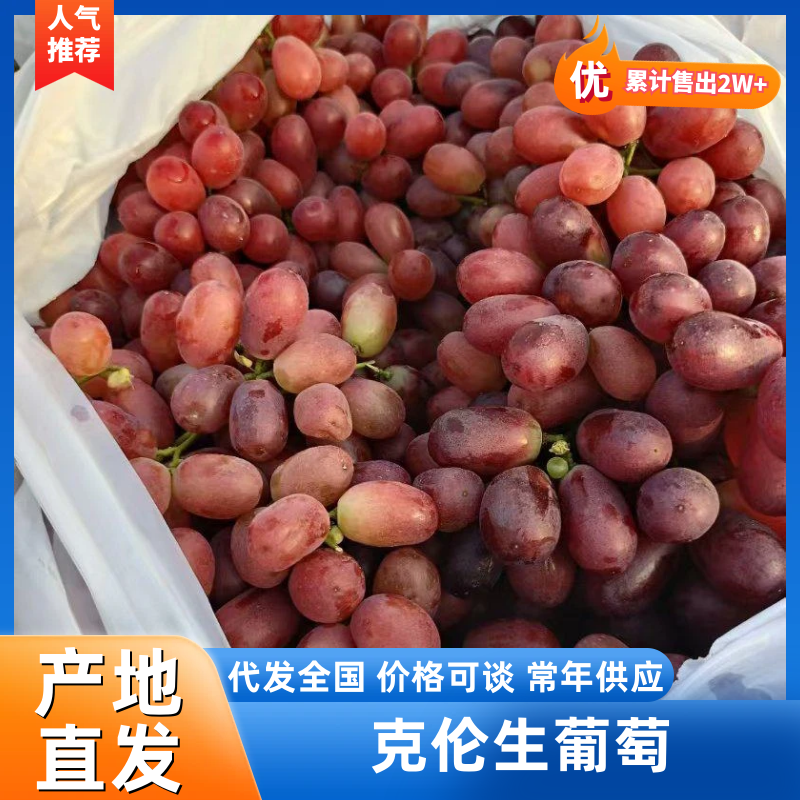 克伦生葡萄货源足规格全按需配货专业二十年代办