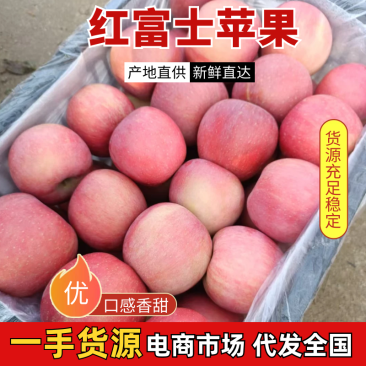 山西红富士苹果规格齐全专业代收一条龙按需配货
