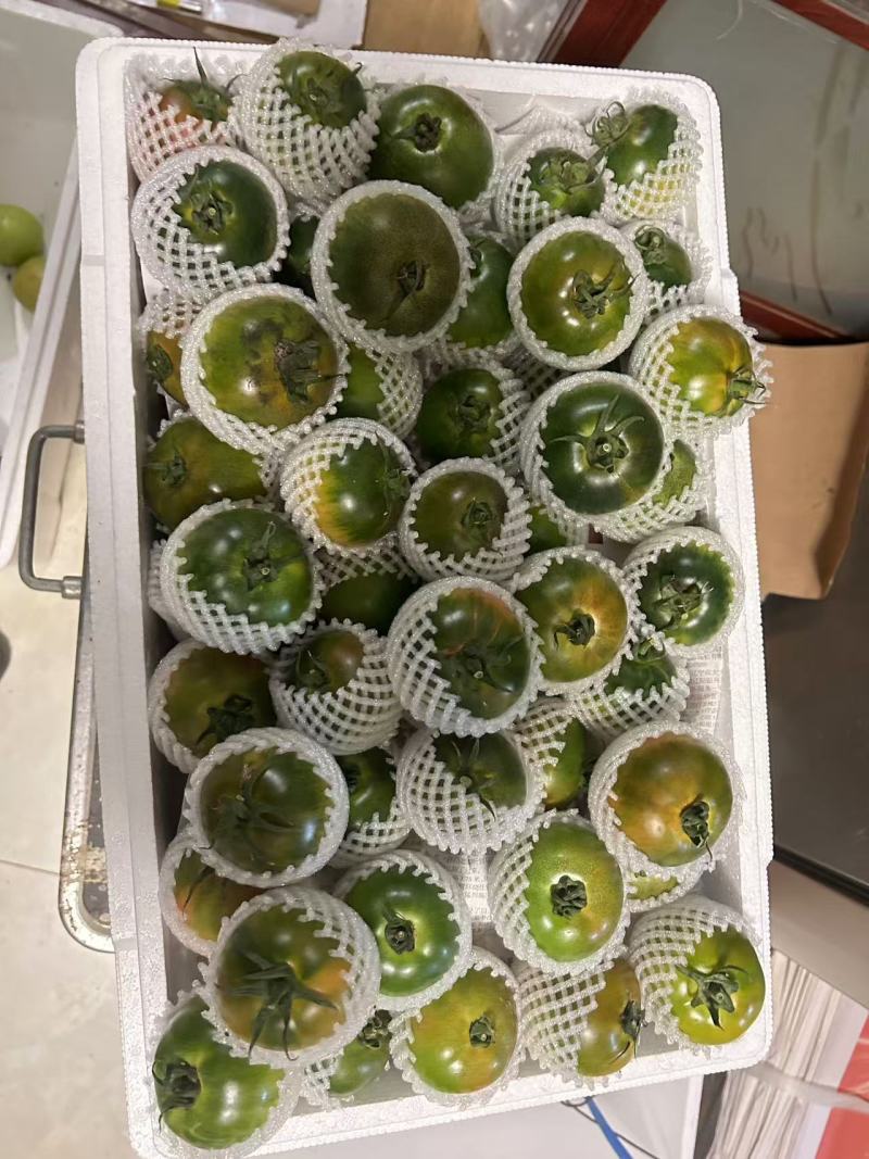 铁皮西红柿大连普兰草莓西红柿，甜度高，味道好吃欢迎下单