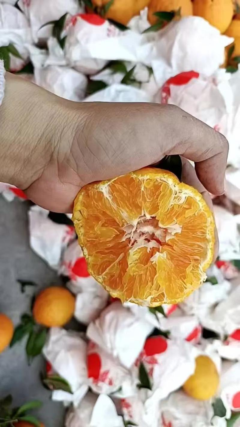 不知火柑橘丑橘产地直发品质保障口感甜量大优惠