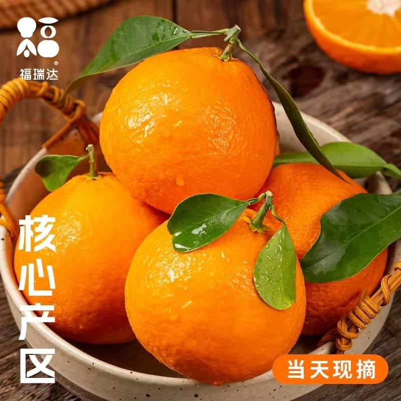 爱媛果冻橙眉山青神果园现摘专业代收支持电商发货