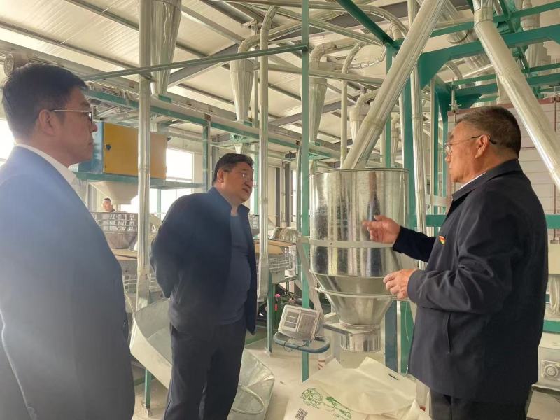 紫麦仁绿麦仁，可定制，产地直发，全国供应，量大从优