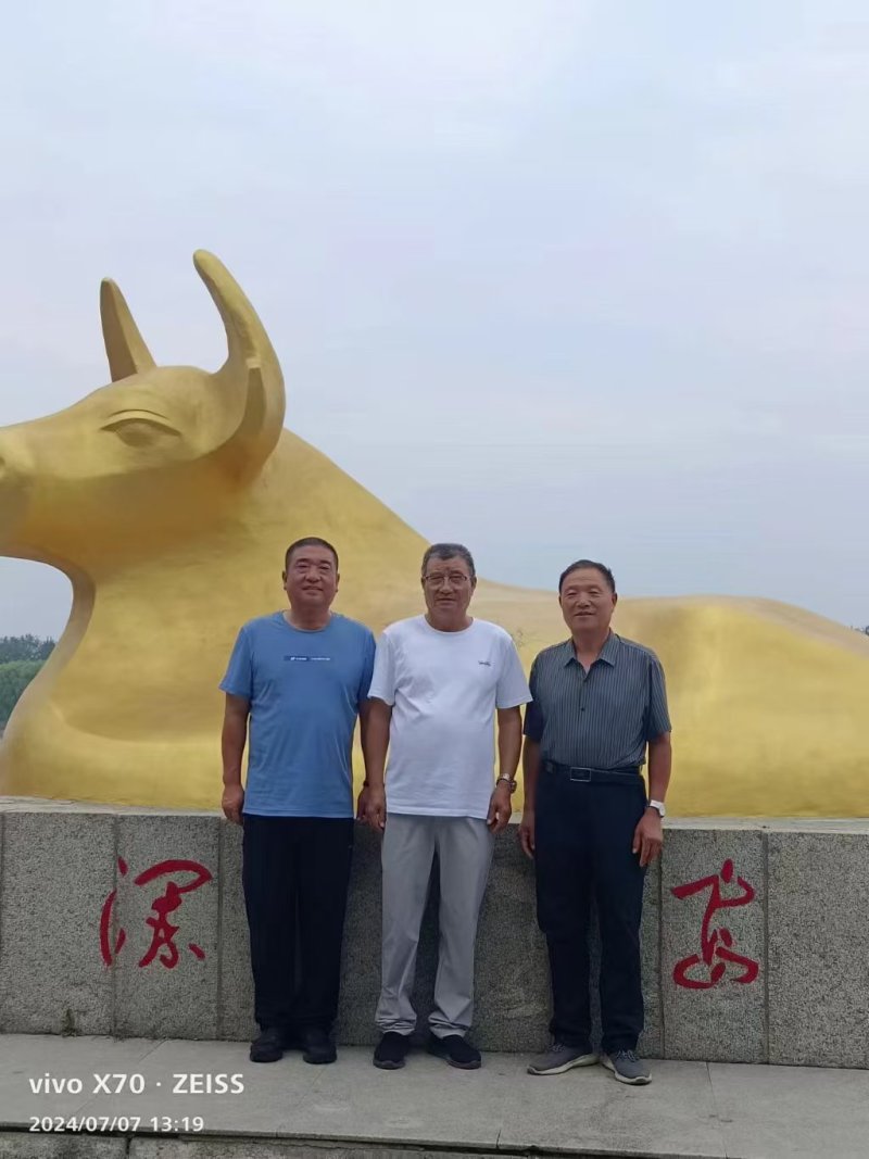 紫麦仁绿麦仁，可定制，产地直发，全国供应，量大从优
