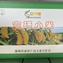 山东小米，包装可定制，厂家直发，全国供货，诚信经营
