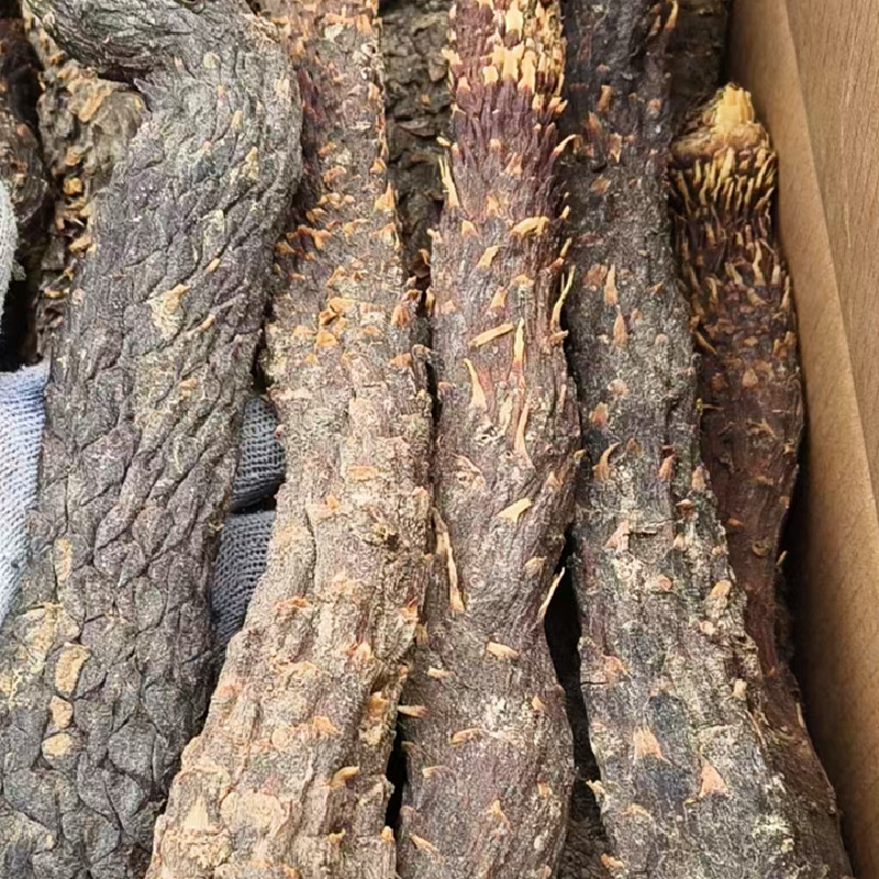 油肉苁蓉新疆特产软质甜苁蓉泡水泡茶沙漠宝新年干货包邮批发