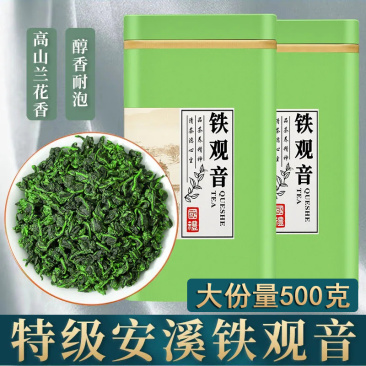 2025年安溪铁观音新茶叶浓香型高山兰花香乌龙茶散装批发