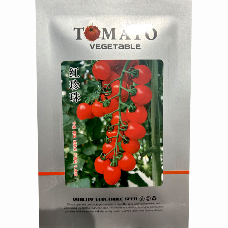 红珍珠番茄种子樱桃番茄小果早熟抗裂果西红柿种产量高