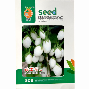 白茄子鸡蛋茄种子白蛋茄金银茄早熟白色光亮坐果集中