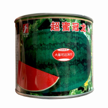 超蜜冠龙西瓜种子抗重茬品种易座果宁夏西瓜种苗