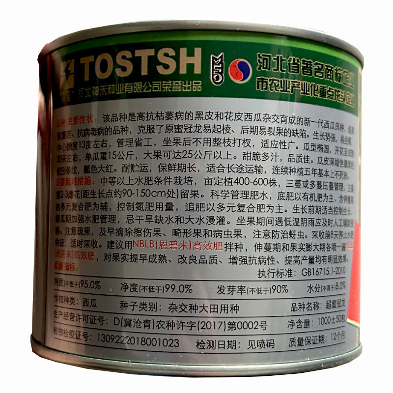 超蜜冠龙西瓜种子抗重茬品种易座果宁夏西瓜种苗